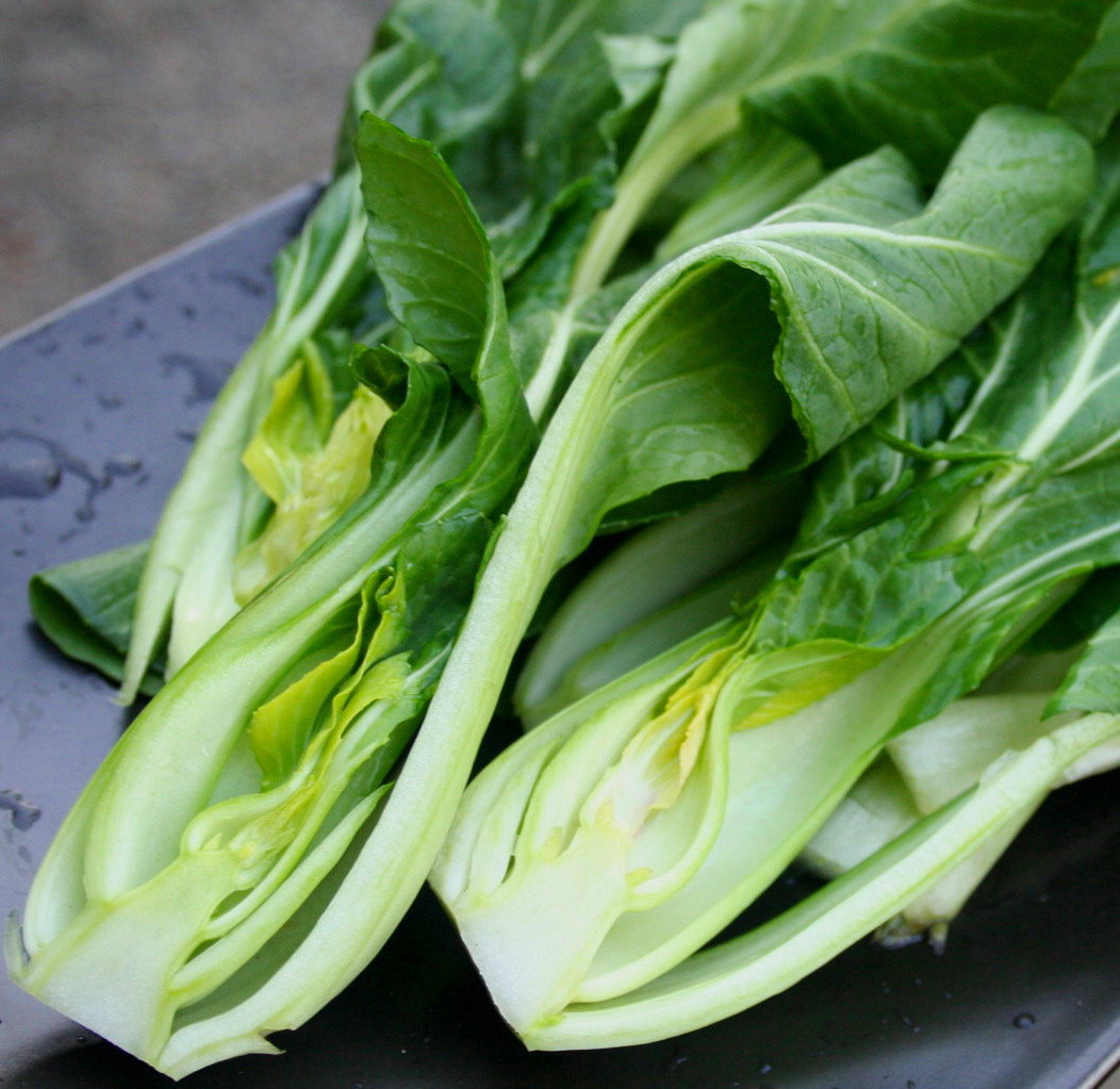 Bok Choy - Joi Choi