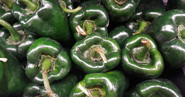 Poblano Pepper - Sargento