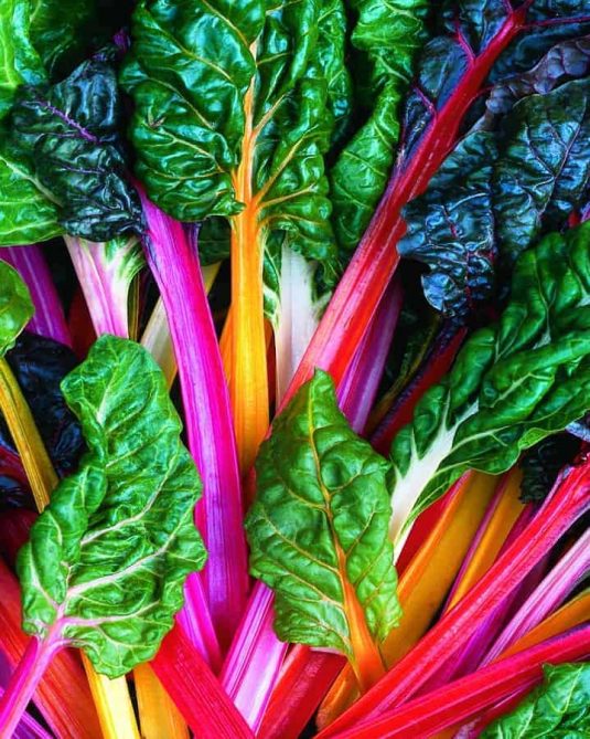 Swiss Chard - Heart of Gold